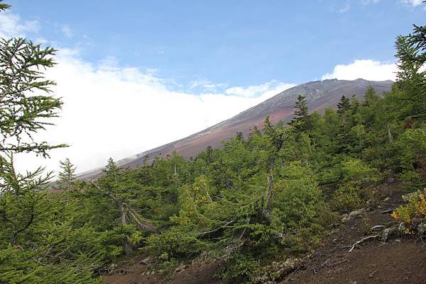 140917-1 富士山健行 (98)