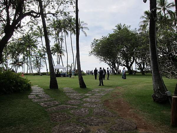 Rachel & Doug's Beach Wedding Party (1)