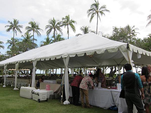 Rachel & Doug's Beach Wedding Party (4)