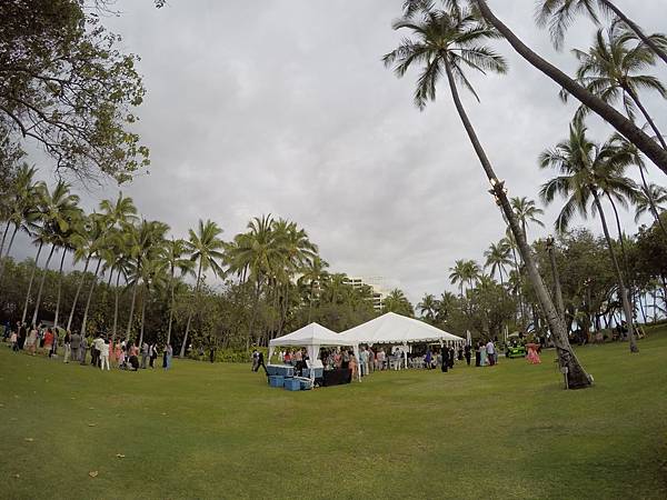 Rachel & Doug's Beach Wedding Party (80)