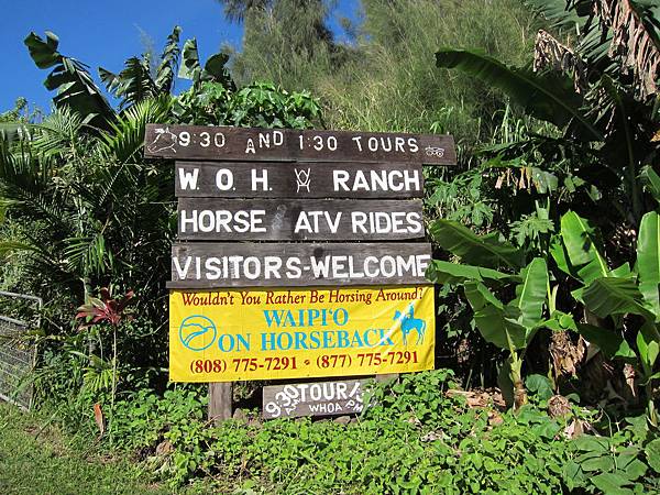 150401-1 Horseback Adventure＠Waipi'o on Horseback (1)