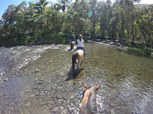 150401-1 Horseback Adventure＠Waipi'o on Horseback (34)