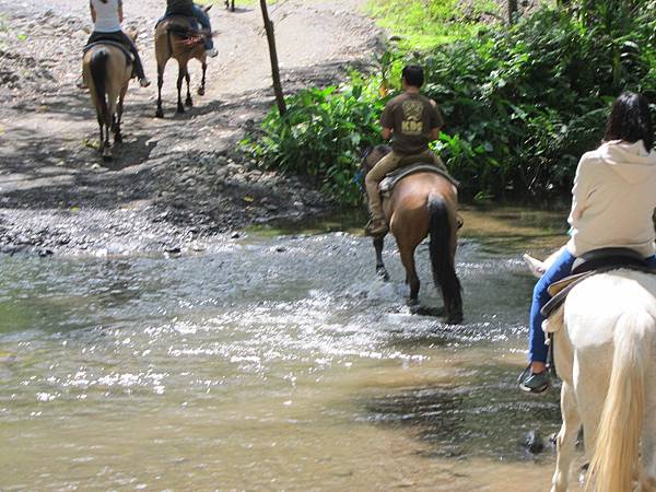 150401-1 Horseback Adventure＠Waipi'o on Horseback (38)