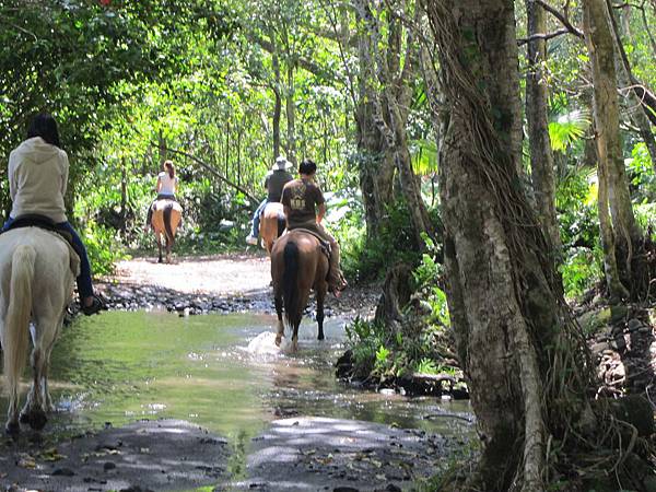 150401-1 Horseback Adventure＠Waipi'o on Horseback (40)