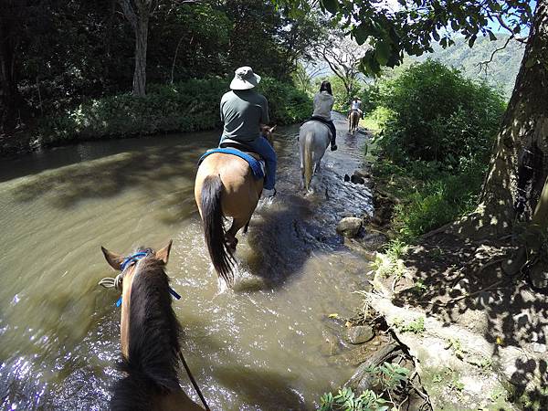 150401-1 Horseback Adventure＠Waipi'o on Horseback (45)