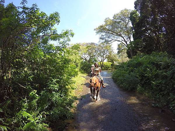 150401-1 Horseback Adventure＠Waipi'o on Horseback (47)