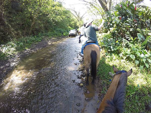 150401-1 Horseback Adventure＠Waipi'o on Horseback (48)