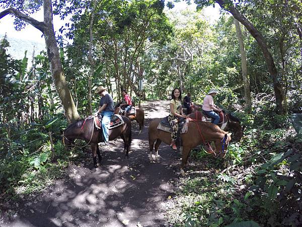 150401-1 Horseback Adventure＠Waipi'o on Horseback (52)