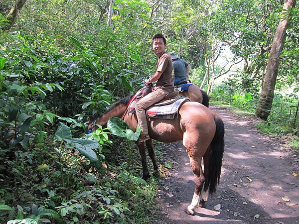 150401-1 Horseback Adventure＠Waipi'o on Horseback (53)