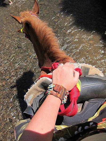 150401-1 Horseback Adventure＠Waipi'o on Horseback (44)