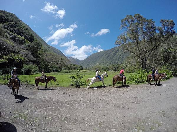 150401-1 Horseback Adventure＠Waipi'o on Horseback (55)