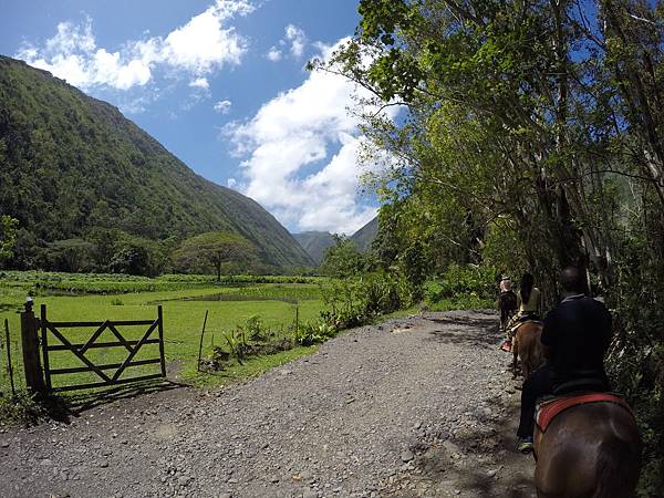 150401-1 Horseback Adventure＠Waipi'o on Horseback (67)