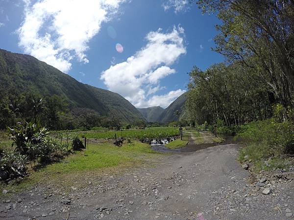 150401-1 Horseback Adventure＠Waipi'o on Horseback (70)