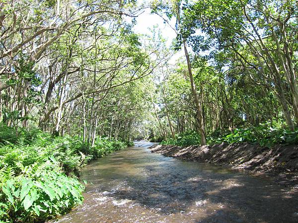 150401-1 Horseback Adventure＠Waipi'o on Horseback (71)