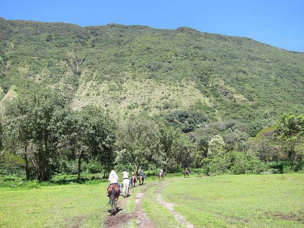 150401-1 Horseback Adventure＠Waipi'o on Horseback (74)