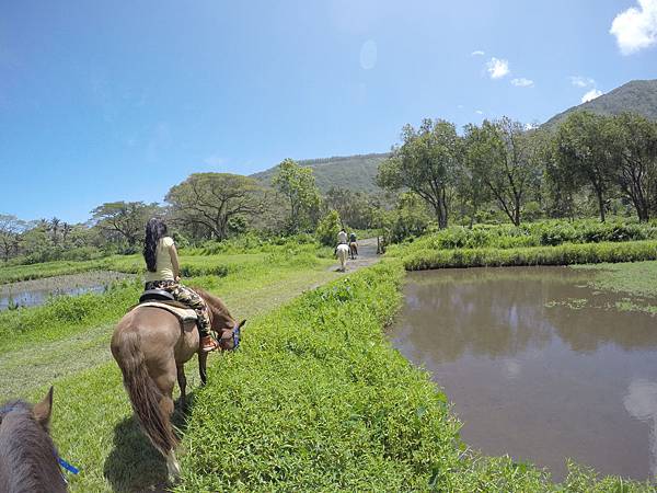 150401-1 Horseback Adventure＠Waipi'o on Horseback (80)