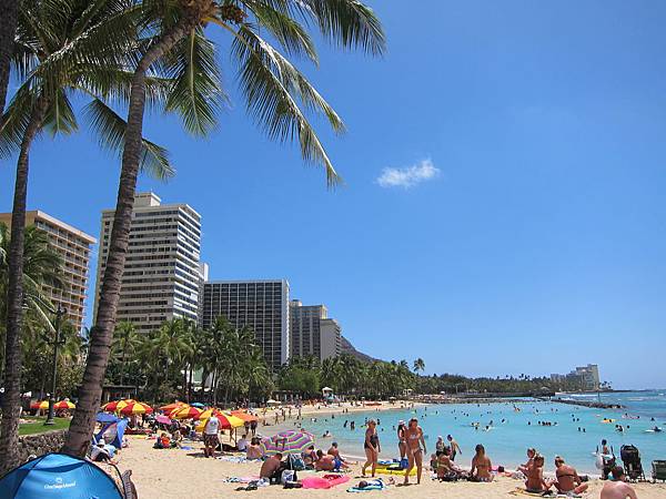 150327-1 Kuhio Beach (14) 150327-1 Kuhio Beach (14)