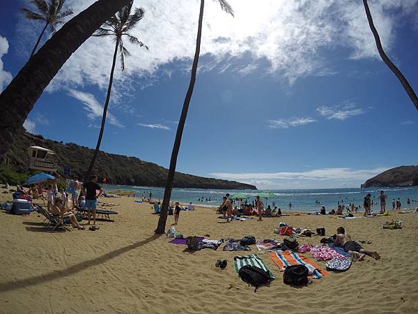 150329-1 Hanauma Bay (7)