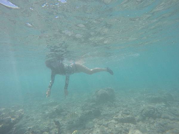 150329-1 Hanauma Bay (22)