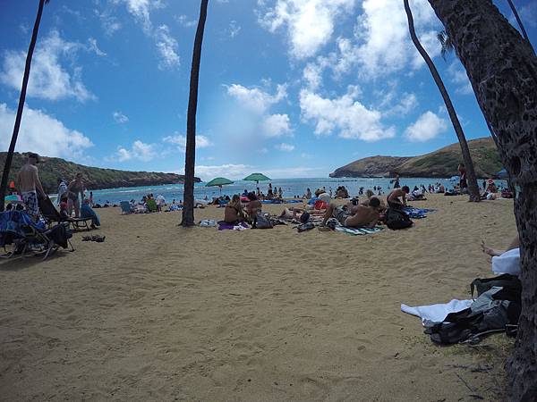 150329-1 Hanauma Bay (31) 150329-1 Hanauma Bay (31)