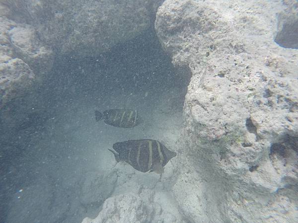 150329-1 Hanauma Bay (35)