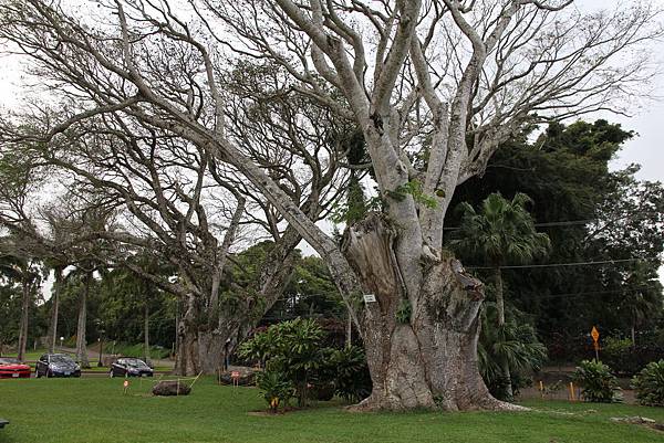 150330-7 King Kamehameha Statue (9)