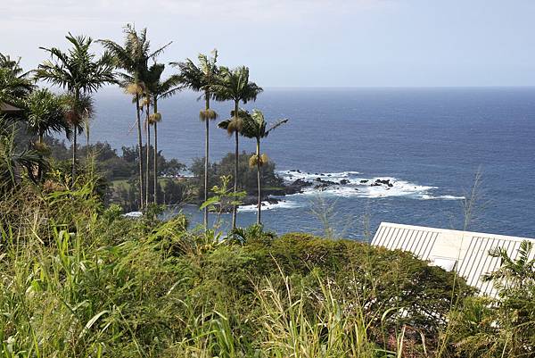 150331-7 Laupahoehoe Point (3)