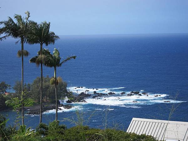 150331-7 Laupahoehoe Point (4)