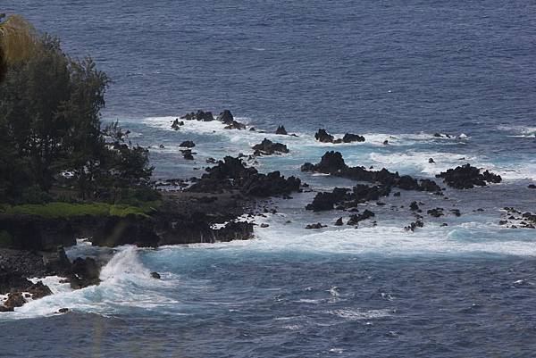 150331-7 Laupahoehoe Point (8)