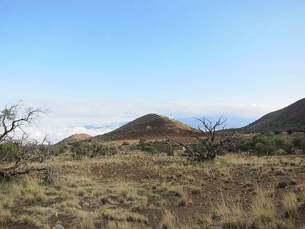 150401-3 Mauna Kea Onizuka Center (14)