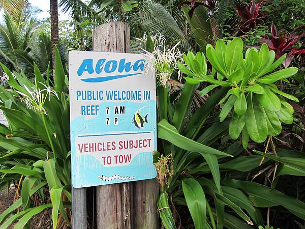 150402-5 Kapoho (Wai' Opae) Tide Pools (3)