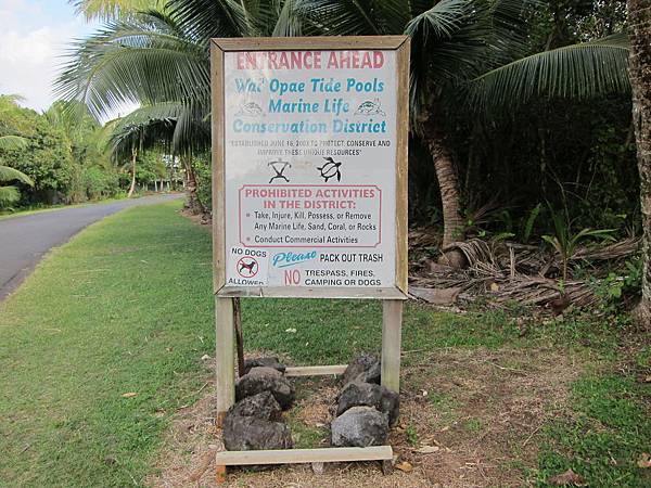 150402-5 Kapoho (Wai' Opae) Tide Pools (4)