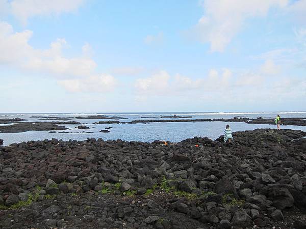 150402-5 Kapoho (Wai' Opae) Tide Pools (5)