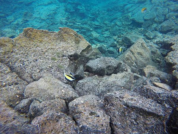 150402-5 Kapoho (Wai' Opae) Tide Pools (8)