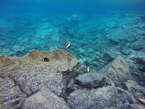 150402-5 Kapoho (Wai' Opae) Tide Pools (9)