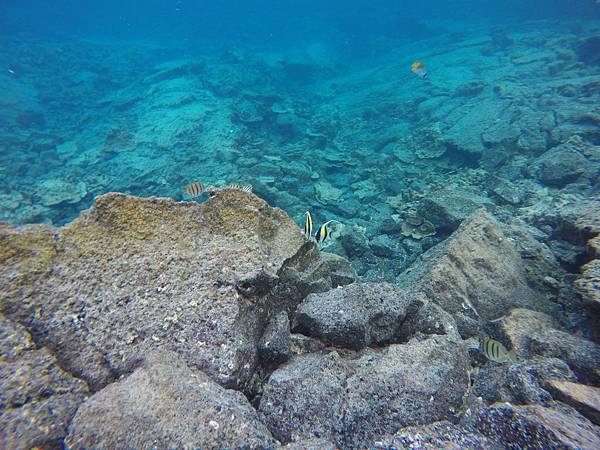 150402-5 Kapoho (Wai' Opae) Tide Pools (10)