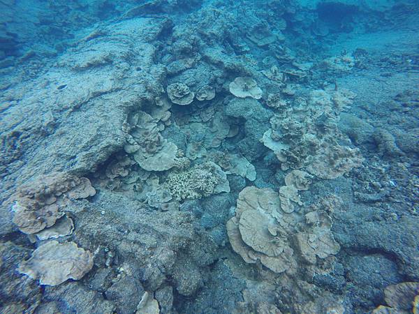 150402-5 Kapoho (Wai' Opae) Tide Pools (12)