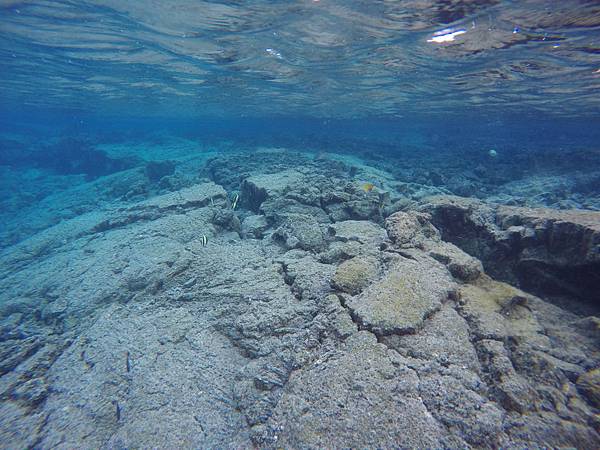 150402-5 Kapoho (Wai' Opae) Tide Pools (13)