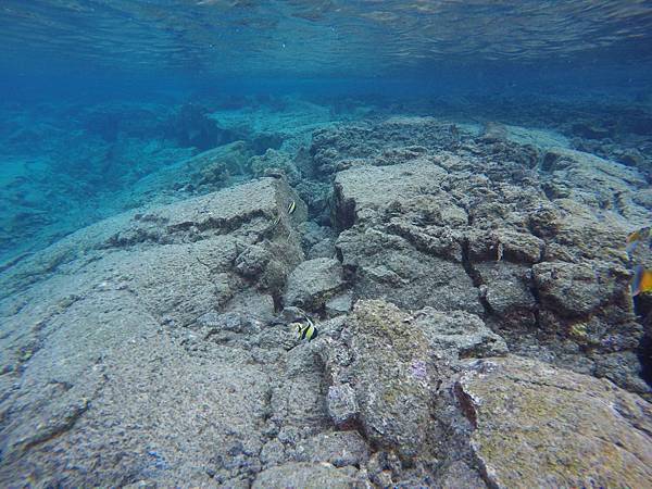 150402-5 Kapoho (Wai' Opae) Tide Pools (14)