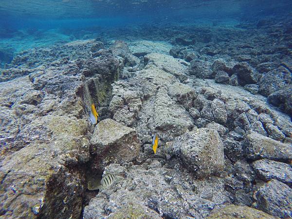 150402-5 Kapoho (Wai' Opae) Tide Pools (15)