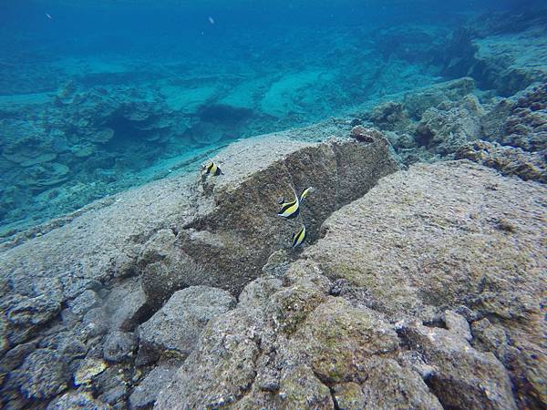 150402-5 Kapoho (Wai' Opae) Tide Pools (17)