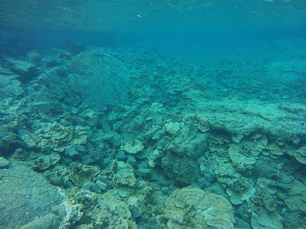 150402-5 Kapoho (Wai' Opae) Tide Pools (23)