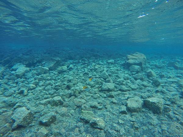 150402-5 Kapoho (Wai' Opae) Tide Pools (26)