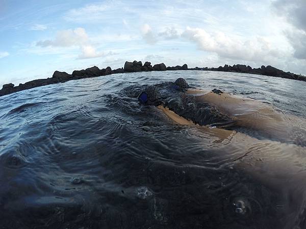 150402-5 Kapoho (Wai' Opae) Tide Pools (28)