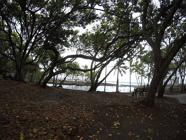 150402-6 Ahalanui Park (3) 150402-6 Ahalanui Park (3)