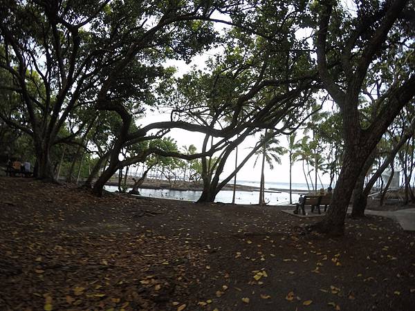 150402-6 Ahalanui Park (3)