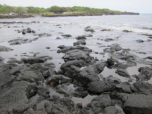 150403-3 Punalu'u Black Sand Beach Park (8)