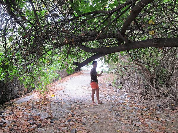 150404-3 Puako Boat Ramp (3)