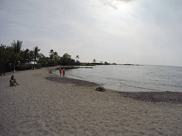 150404-4 Kaloko-Honokōhau National Historical Park (5)