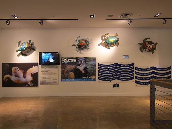 150809-13 海底世界水族館 (3) 150809-13 海底世界水族館 (3)